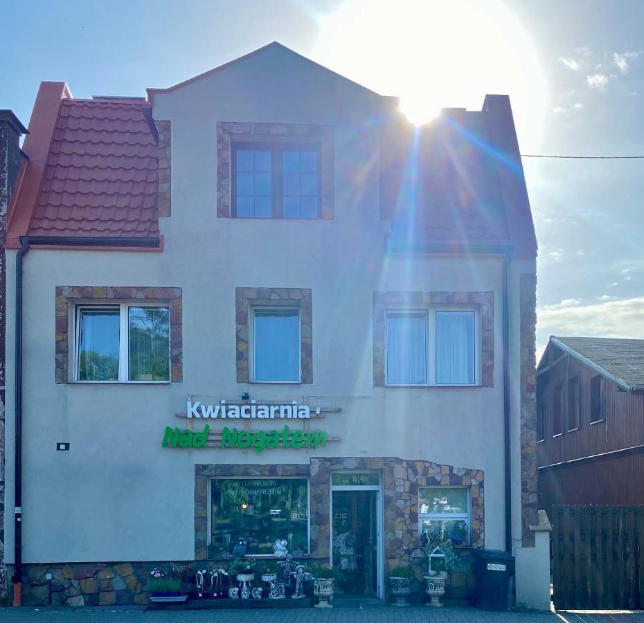 Główna Apartamenty Nad Nogatem Malbork Exterior foto